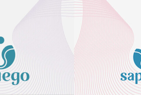 Sapiego old and new brand colours