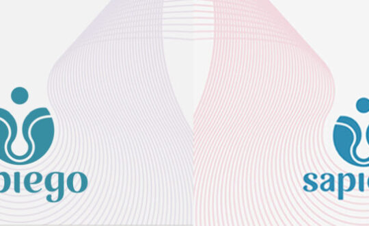 Sapiego old and new brand colours